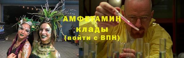 хмурый Арсеньев