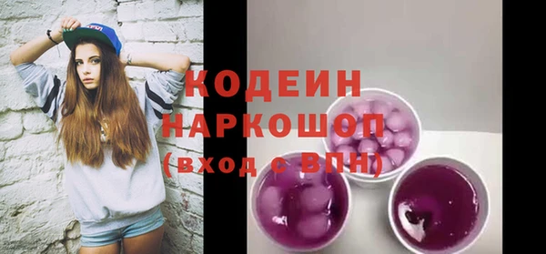хмурый Арсеньев