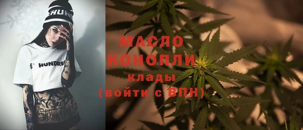 хмурый Арсеньев