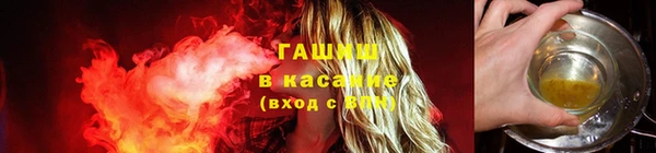 хмурый Арсеньев