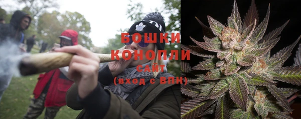 гидра Армянск