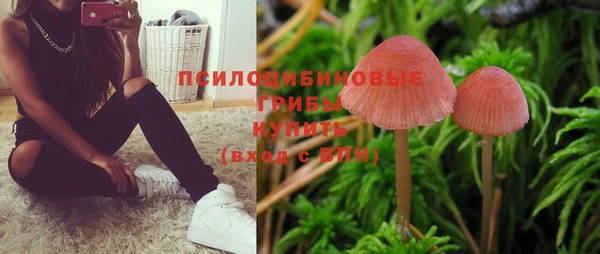 гидра Армянск